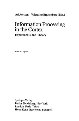 Information Processing in the Cortex
