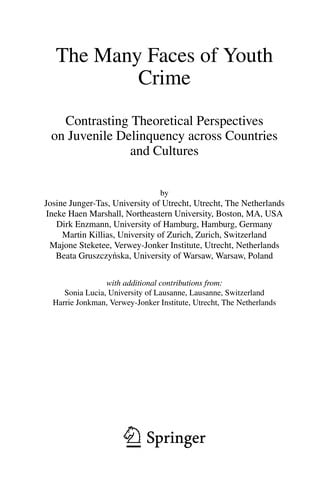 The many faces of youth crime