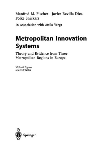 Metropolitan Innovation Systems