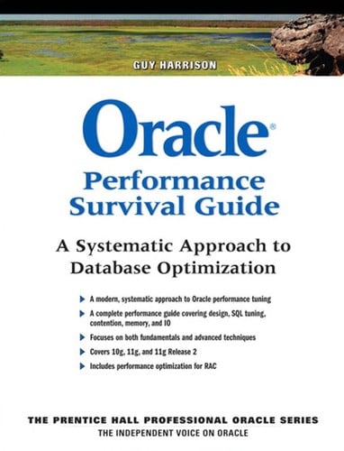Oracle performance survival guide