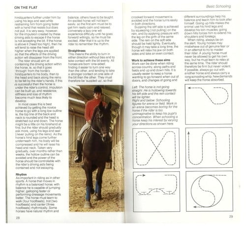 A Young rider's guide to horse and pony care