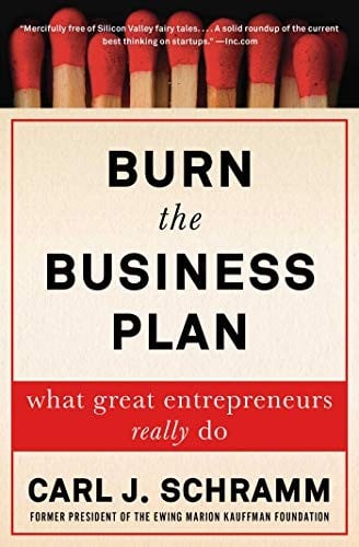 Burn the business plan