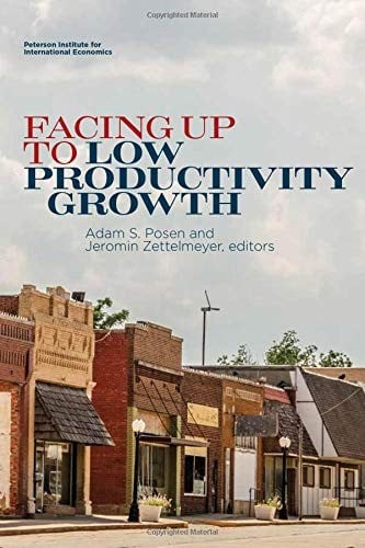 Facing Up to Low Productivity Growth