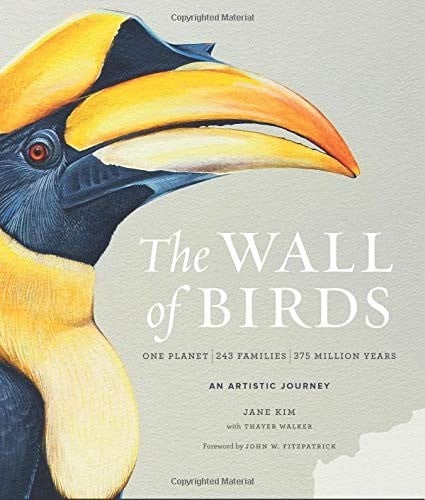The Wall of Birds