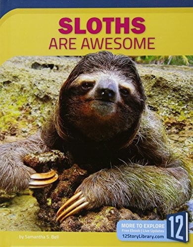Sloths Are Awesome