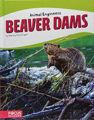 Beaver Dams