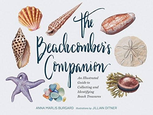 The Beachcomber's Companion