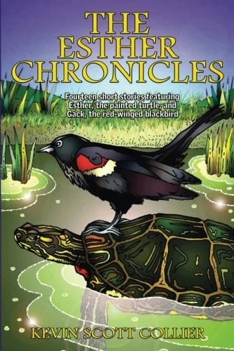 The Esther Chronicles