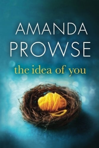 The Idea of You