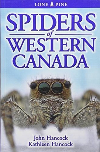 Spiders of Western Canada
