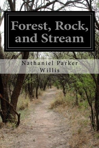 Forest, Rock, and Stream