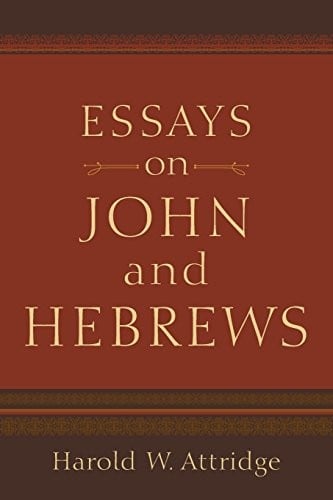 Essays on John and Hebrews