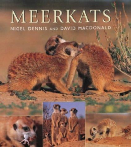 Meerkats
