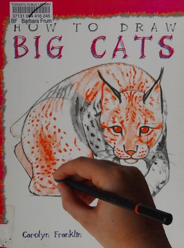 How to Draw Big Cats
