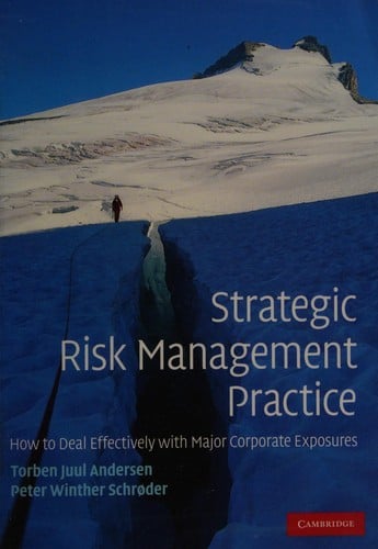 Strategic risk management practice