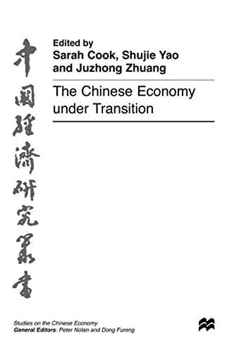 The Chinese economy under transition