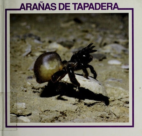 Arañas de tapadera