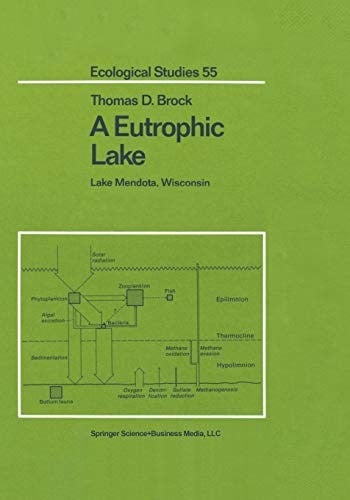 A eutrophic lake
