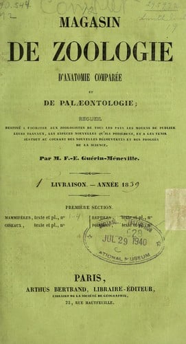 Your dream vacation home