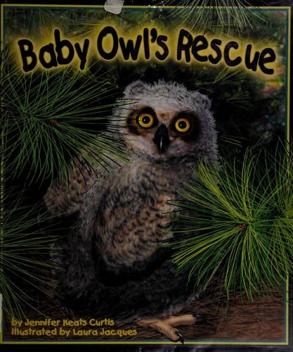 Baby owl's rescue