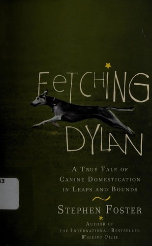 Fetching Dylan