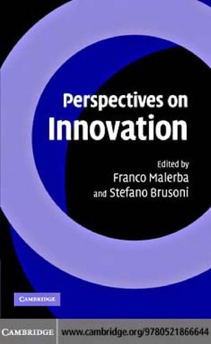 Perspectives on innovation