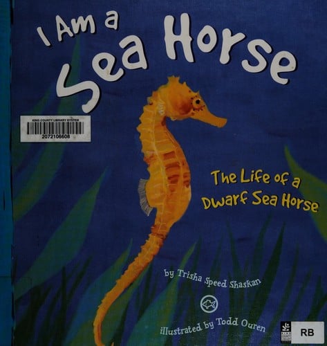 I am a seahorse