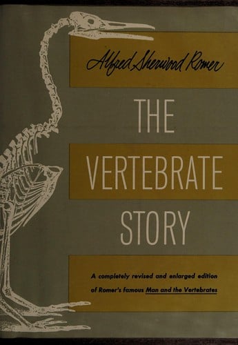 The vertebrate story