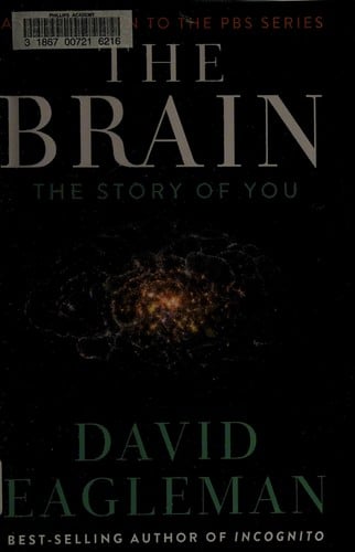 The brain