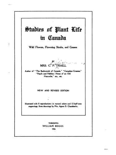Studies of Plant Life in Canada: Wild Flowers, Flowering Shrubs, and Grasses