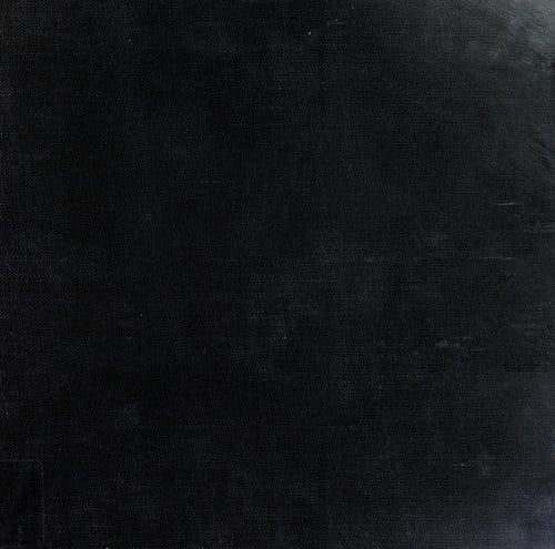 Lee Friedlander portraits