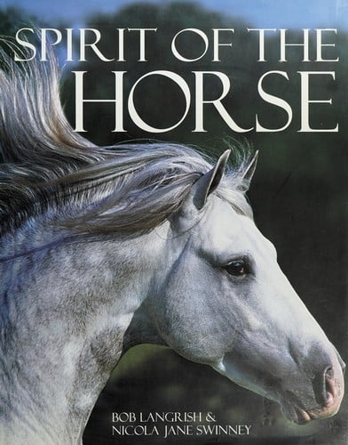 Spirit of the horse