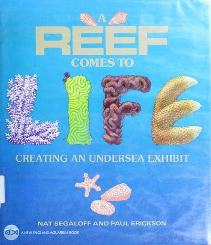 A reef comes to life