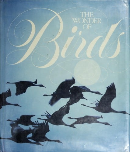 The Wonder of birds