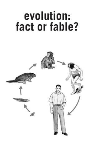 Evolution: fact or fable?