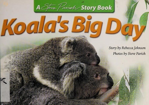 Koala's big day