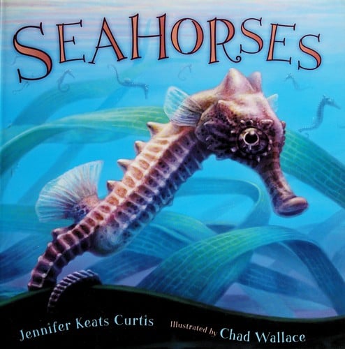 Seahorses