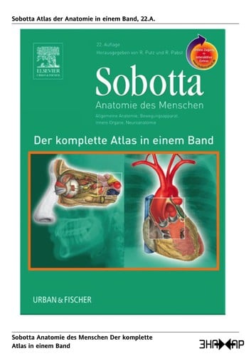 Anatomie des Menschen