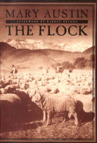 The flock