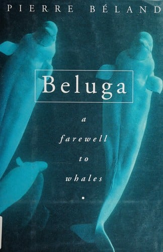 Beluga