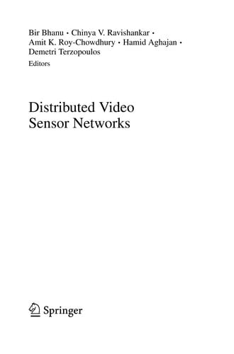Distributed video sensor networks