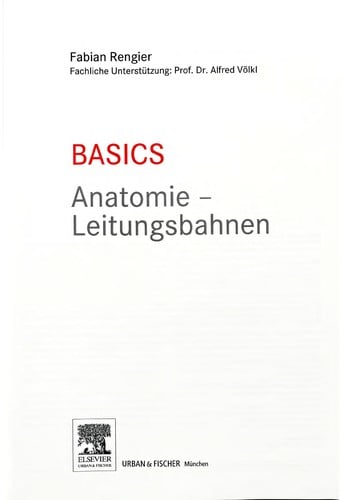 Basics Anatomie - Leitungsbahnen