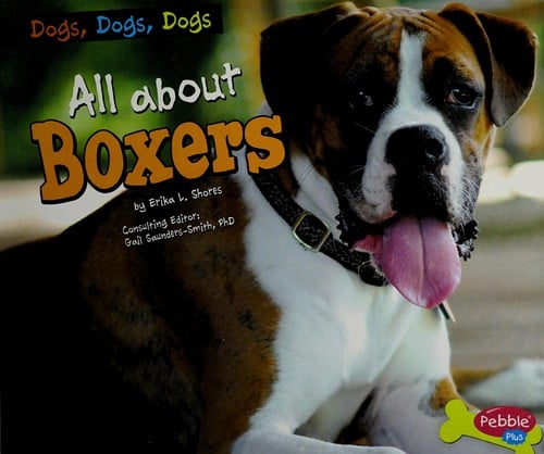 All about boxers