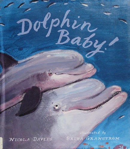 Dolphin baby!