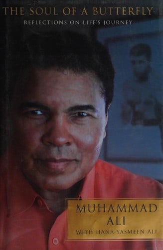 The soul of a butterfly: reflections on life's journey