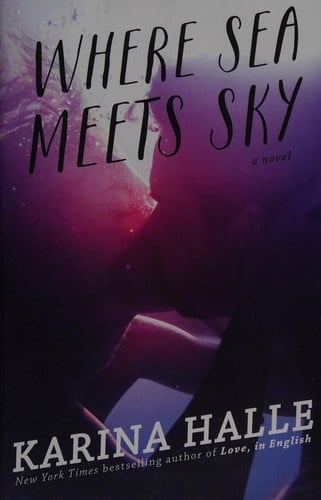 Where sea meets sky: a novel