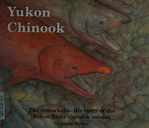Yukon Chinook: the remarkable life story of the Yukon River Chinook salmon