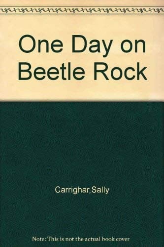 One Day on Beetle Rock