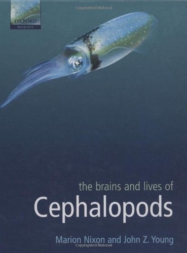 The brains and lives of cephalopods