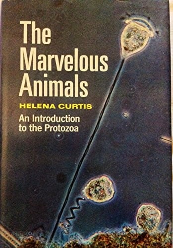 The Marvelous Animals: An Introduction to the Protozoa